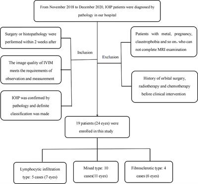 Correlation Between IVIM-DWI Parameters and Pathological Classification of Idiopathic Orbital Inflammatory Pseudotumors: A Preliminary Study